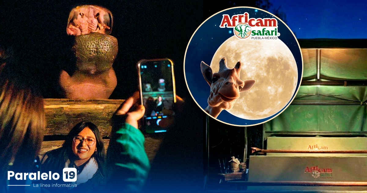 WhatsApp Image 2026-01-14 at 4.17.01 PM