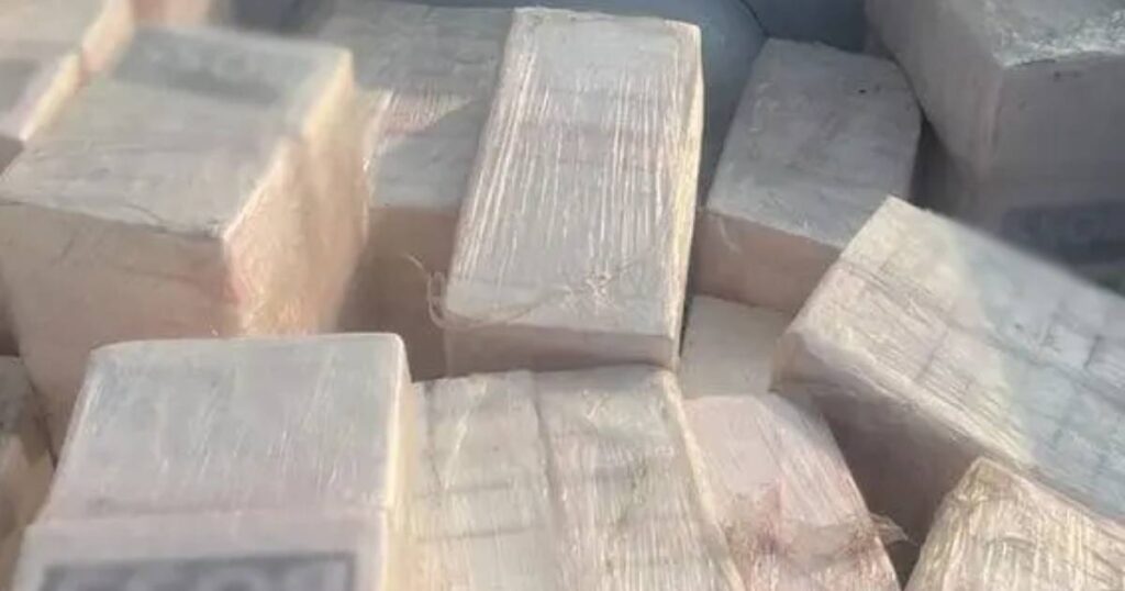 Decomisan avioneta con media tonelada de cocaína en Oaxaca