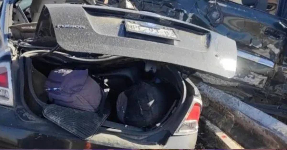 Proyecto nuevo (17) Proyecto nuevo (17)