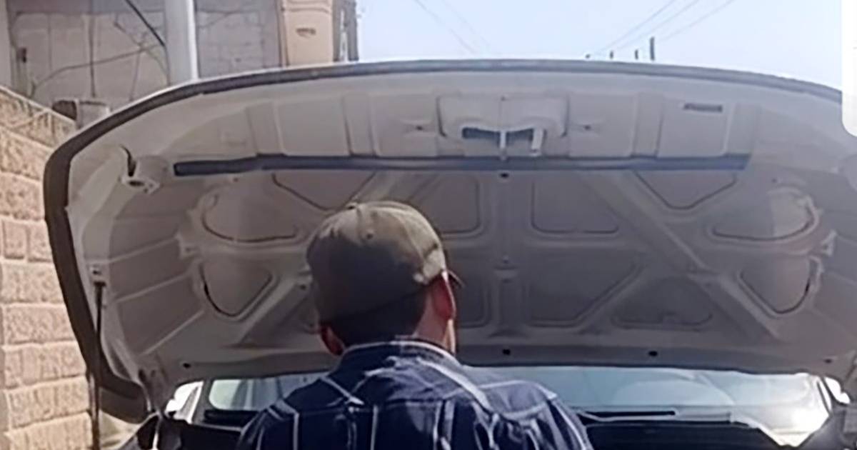 Proyecto nuevo (2) Proyecto nuevo (2)