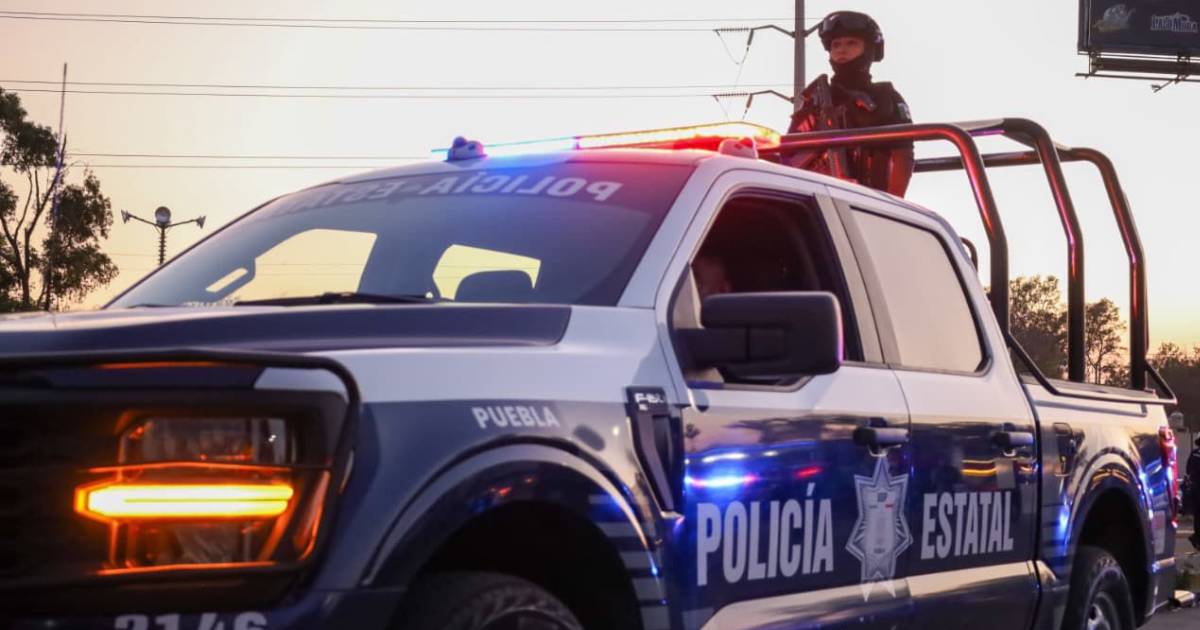 Proyecto nuevo (3) Proyecto nuevo (3)