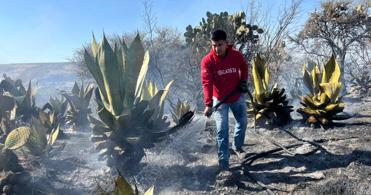 Proyecto nuevo (5) Proyecto nuevo (5)