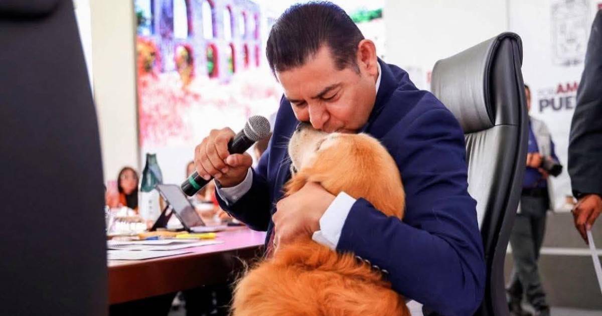 Proyecto nuevo (7) Proyecto nuevo (7)