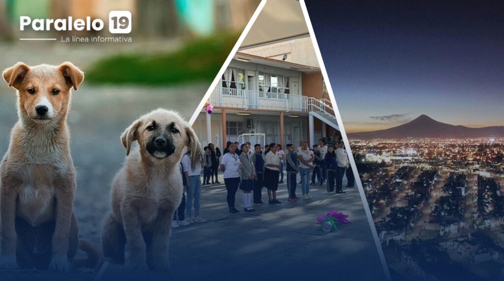 Congreso aprieta el paso