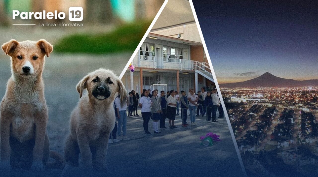 WhatsApp Image 2026-02-08 at 6.55.39 PM (1)