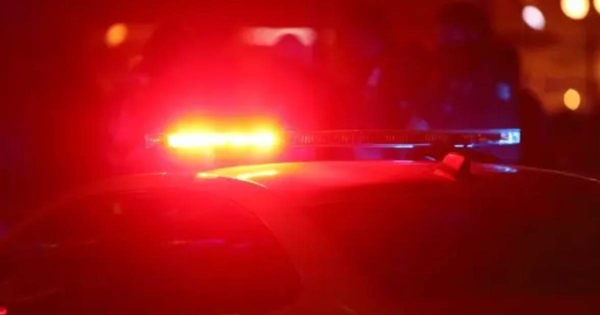 Proyecto nuevo (12) Proyecto nuevo (12)