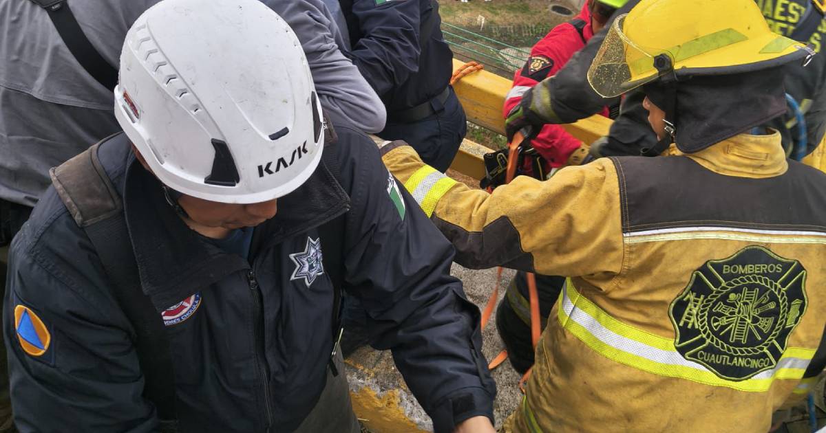 Proyecto nuevo (2) Proyecto nuevo (2)