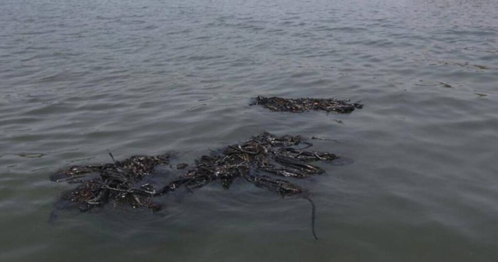 Derrame en Golfo es minimizado por Rocío Nahle; surgen versiones encontradas