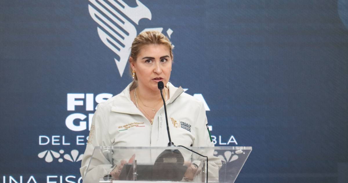 Proyecto nuevo (3) Proyecto nuevo (3)