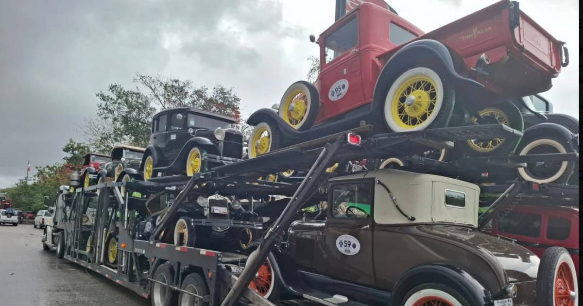 Proyecto nuevo (3) Proyecto nuevo (3)