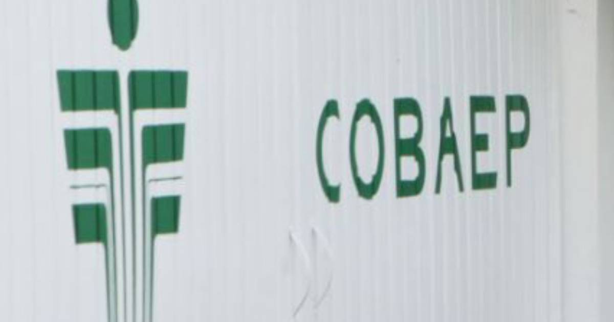 Proyecto nuevo Proyecto nuevo