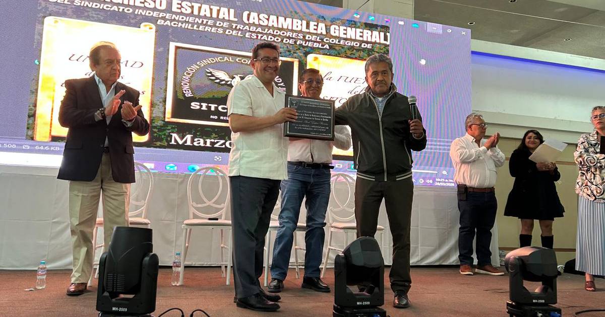 Proyecto nuevo (5) Proyecto nuevo (5)