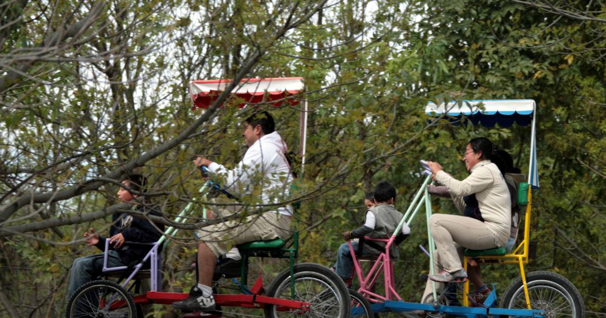 Proyecto nuevo (6) Proyecto nuevo (6)