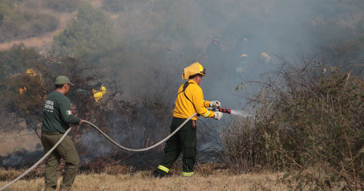 Proyecto nuevo Proyecto nuevo
