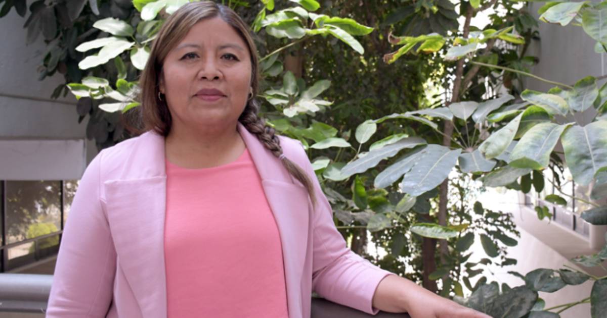 Proyecto nuevo (8) Proyecto nuevo (8)