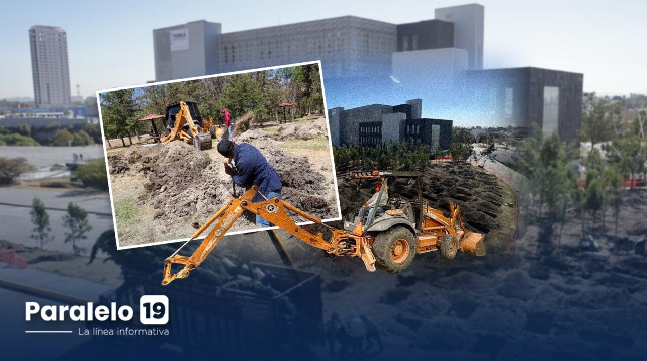 WhatsApp Image 2026-03-01 at 3.49.57 PM