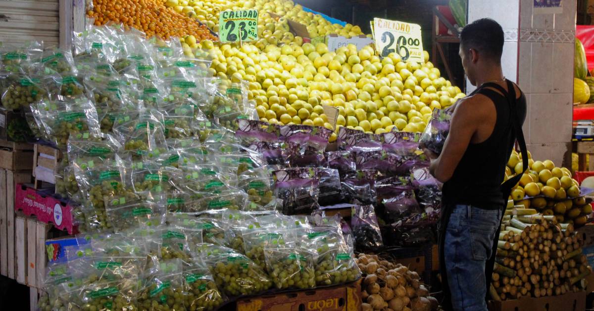 Central de Abastos Central de Abastos