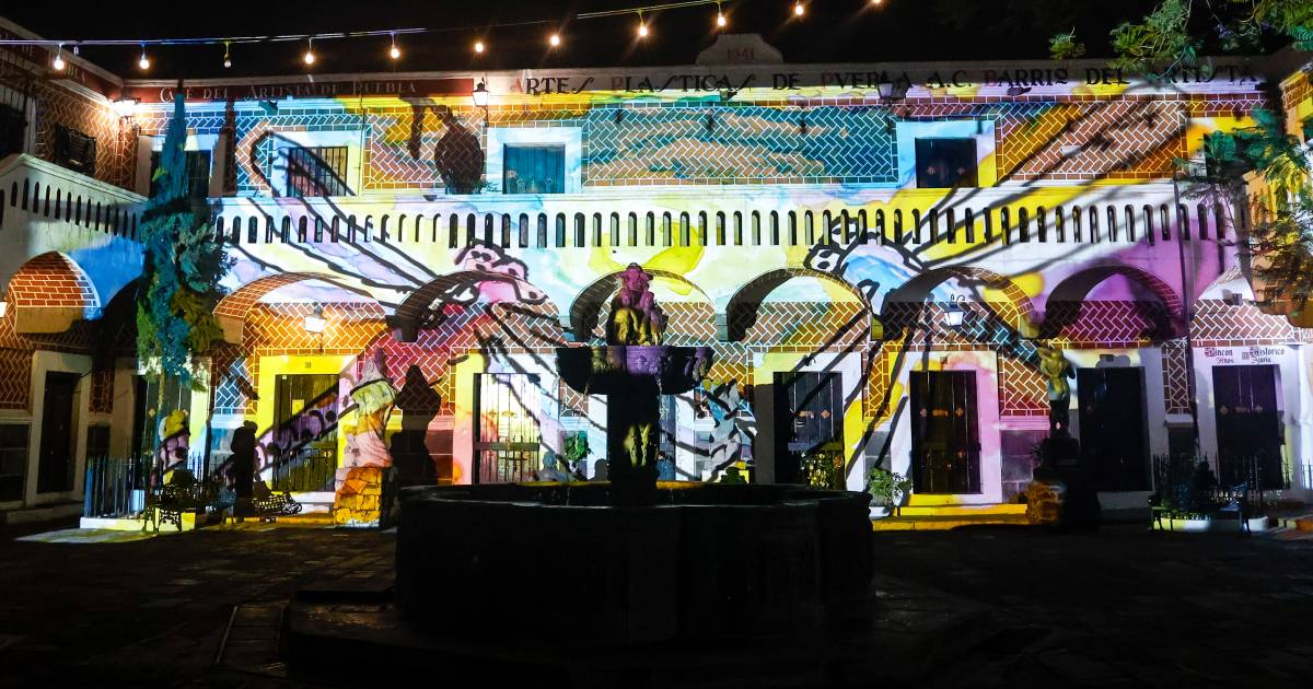 Festival Glow Festival Glow