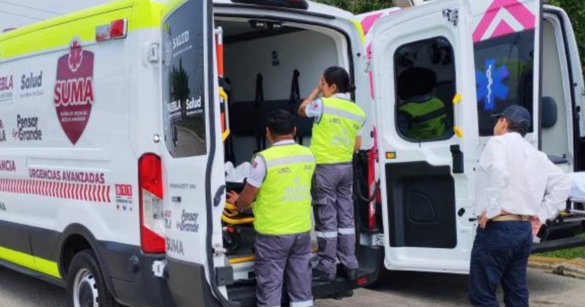 Proyecto nuevo (1) Proyecto nuevo (1)