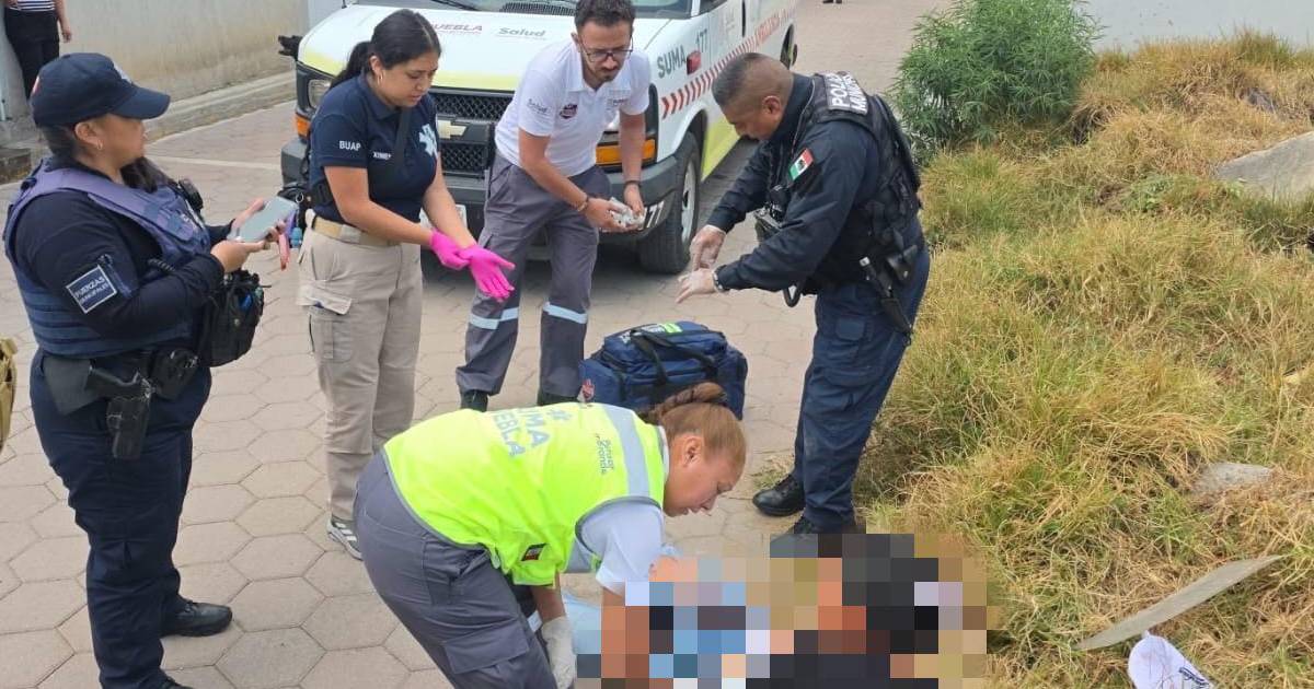 Proyecto nuevo (3) Proyecto nuevo (3)