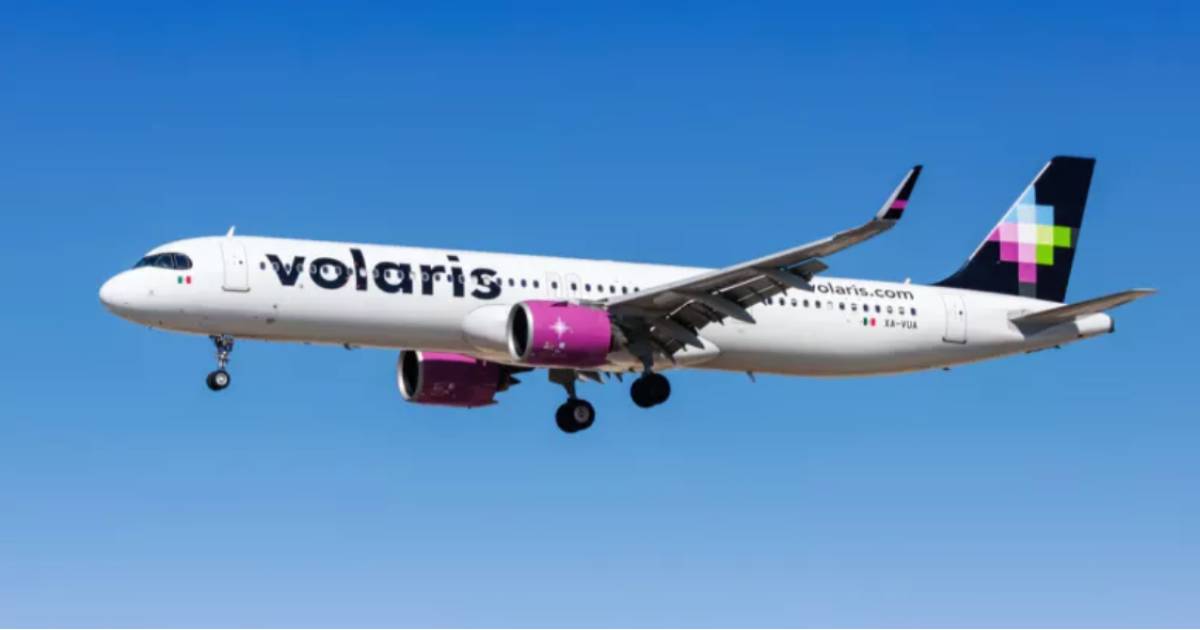 Proyecto nuevo (3) Proyecto nuevo (3)