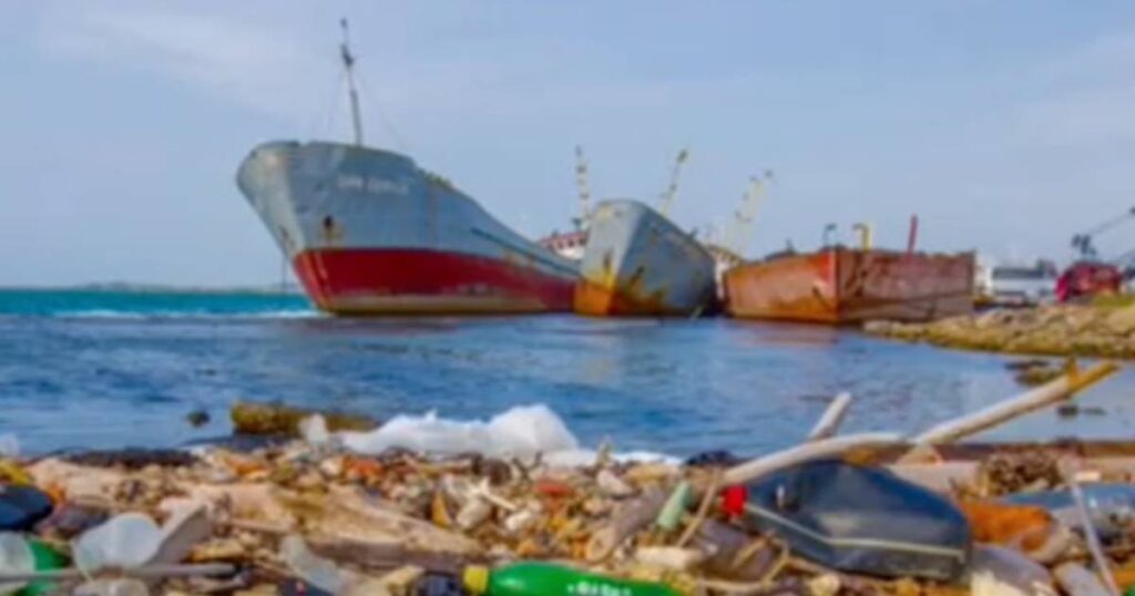 Derrame en Veracruz desploma ventas de pescado y eleva precios locales