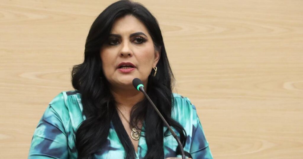 Delfina Pozos propone modificar reformas legales relacionadas con delito de despojo