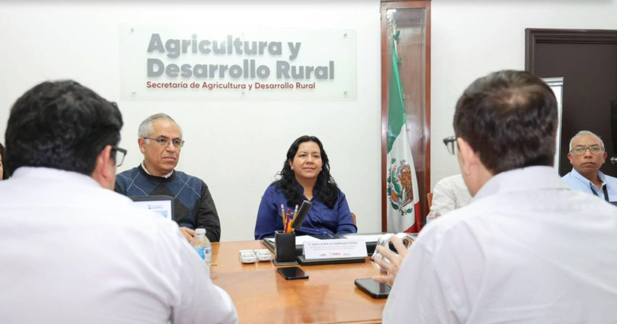 Proyecto-nuevo-4-6.jpg