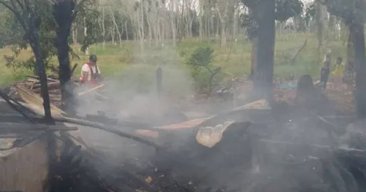 Proyecto nuevo (46) Proyecto nuevo (46)