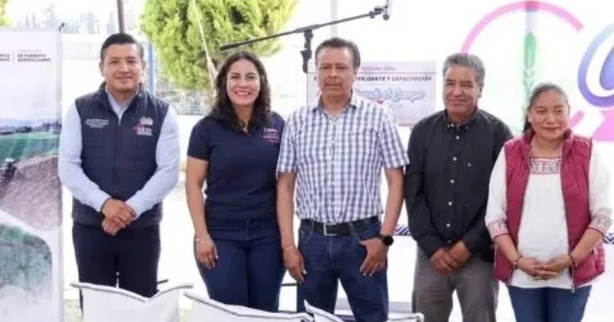 Proyecto nuevo (66) Proyecto nuevo (66)