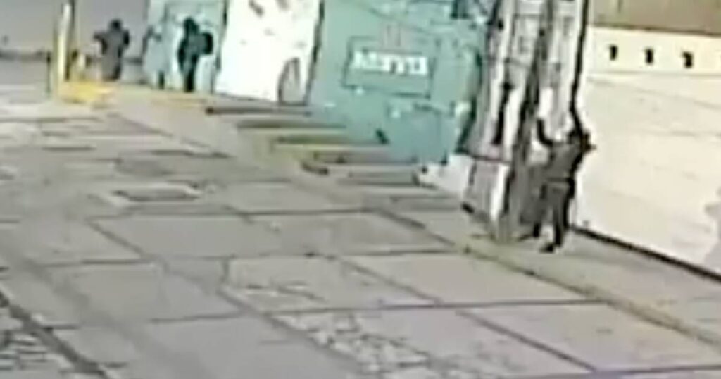 VIDEO: ¡Hasta los cables de teléfono se quieren robar en San Jerónimo!