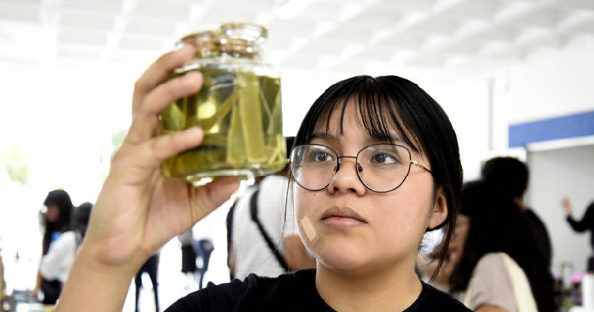 BUAP innovación