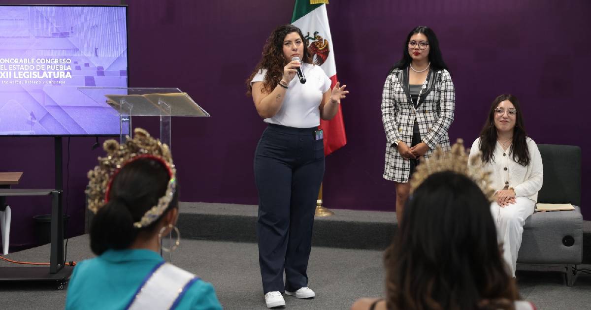 Diputada Xel Ariadna