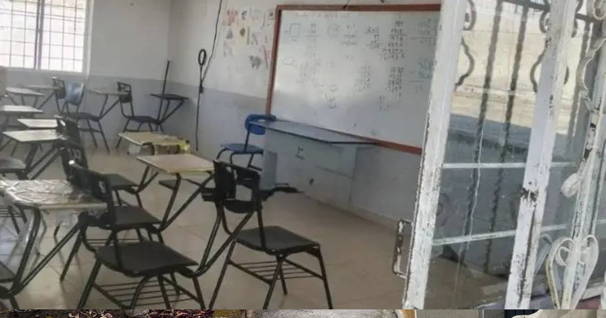Escuela