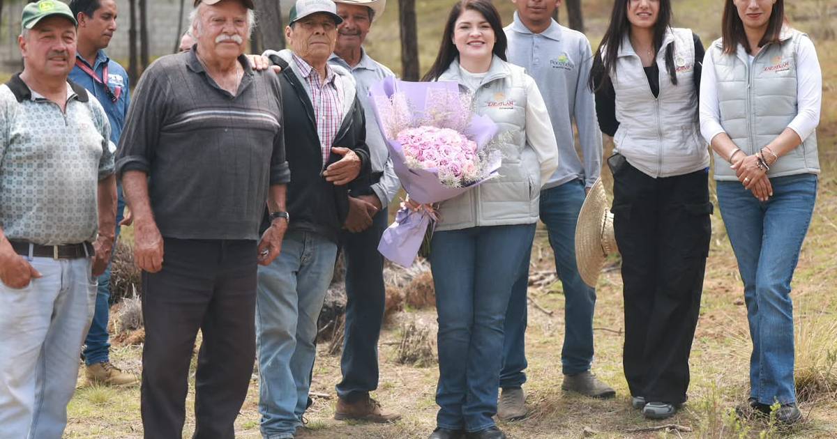 Hidrico Zacatlan Hidrico Zacatlan