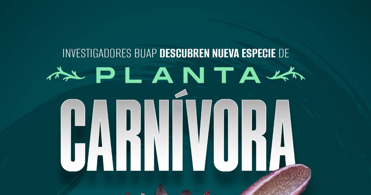 Proyecto-nuevo-22.jpg