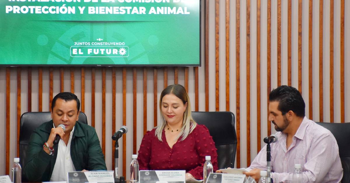 Texmelucan animales Texmelucan animales