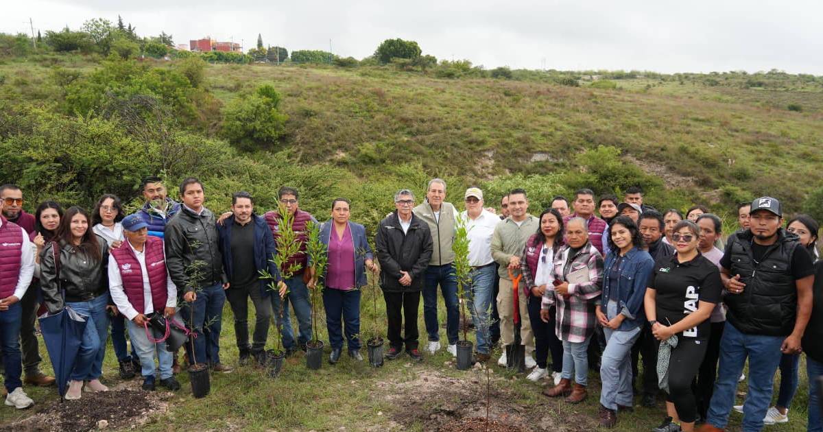 Chedrai medio ambiente