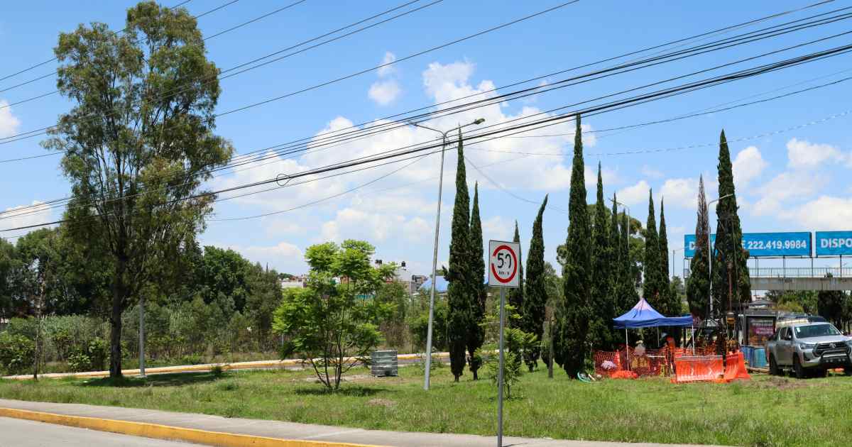 Mayorazgo