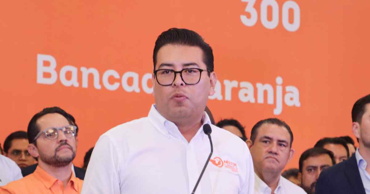 Néstor Camarillo