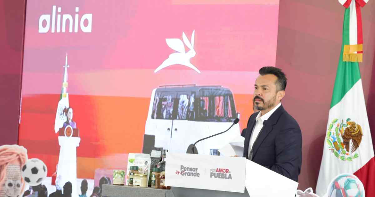 Olinia 2027 Olinia 2027
