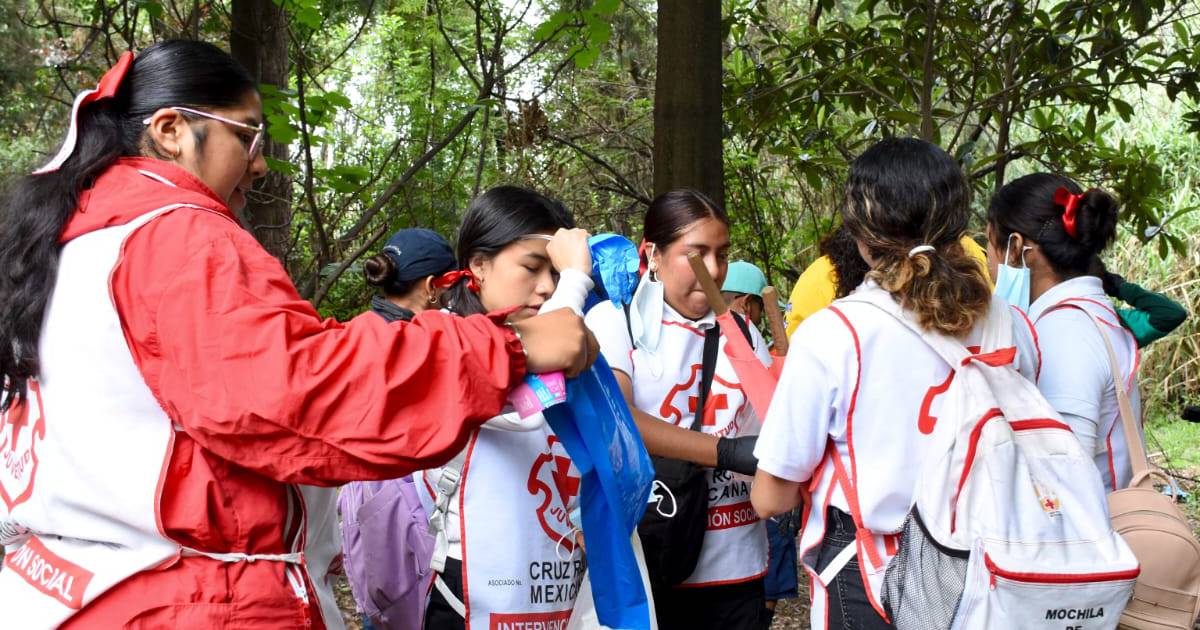 Reforestacion texmelucan Reforestacion texmelucan