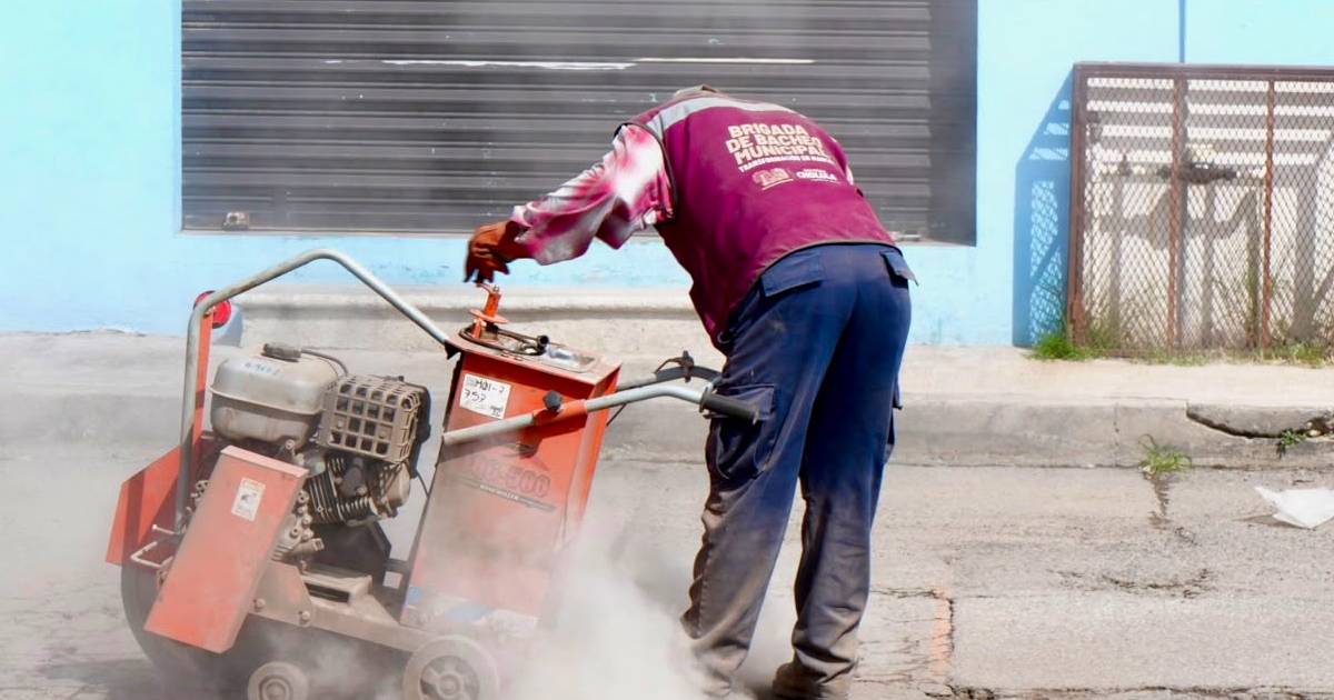 bacheo cholula