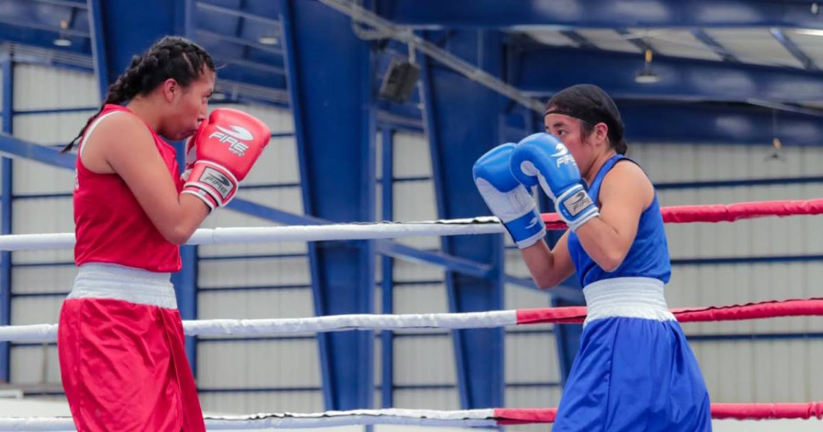 boxeo udep
