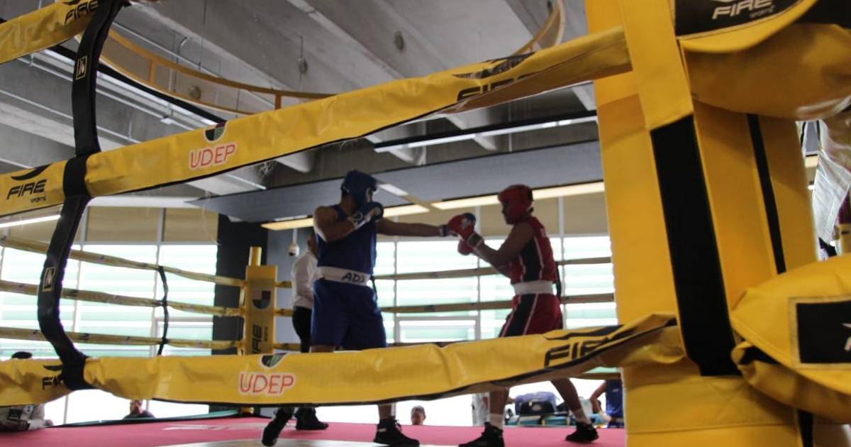 boxeo