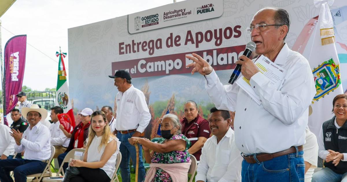 campo