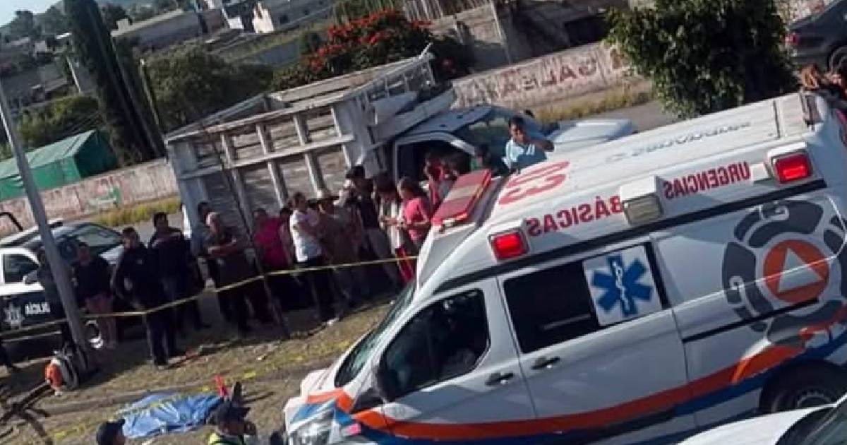 Atropellamiento-2.jpg