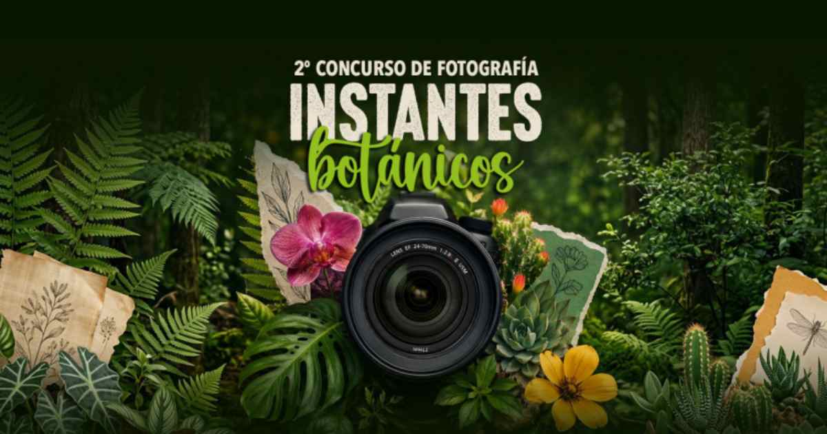 Concurso BUAP