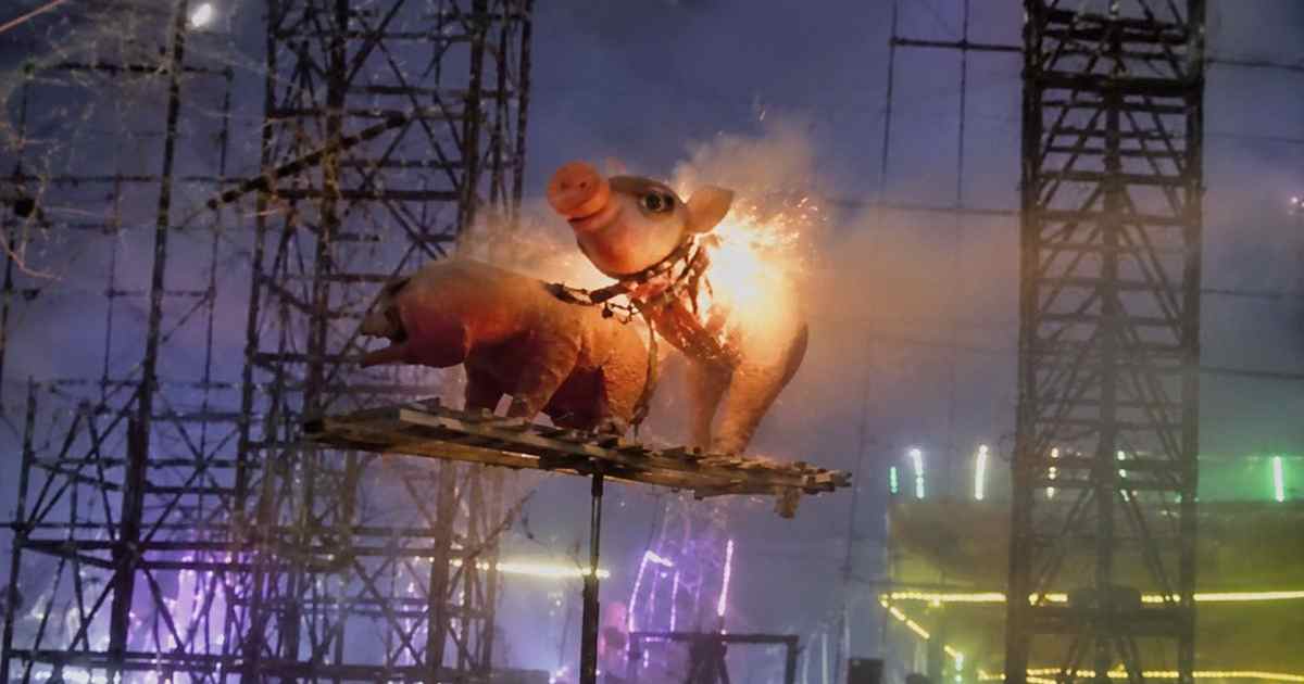 Pirotecnia cerdito Pirotecnia cerdito