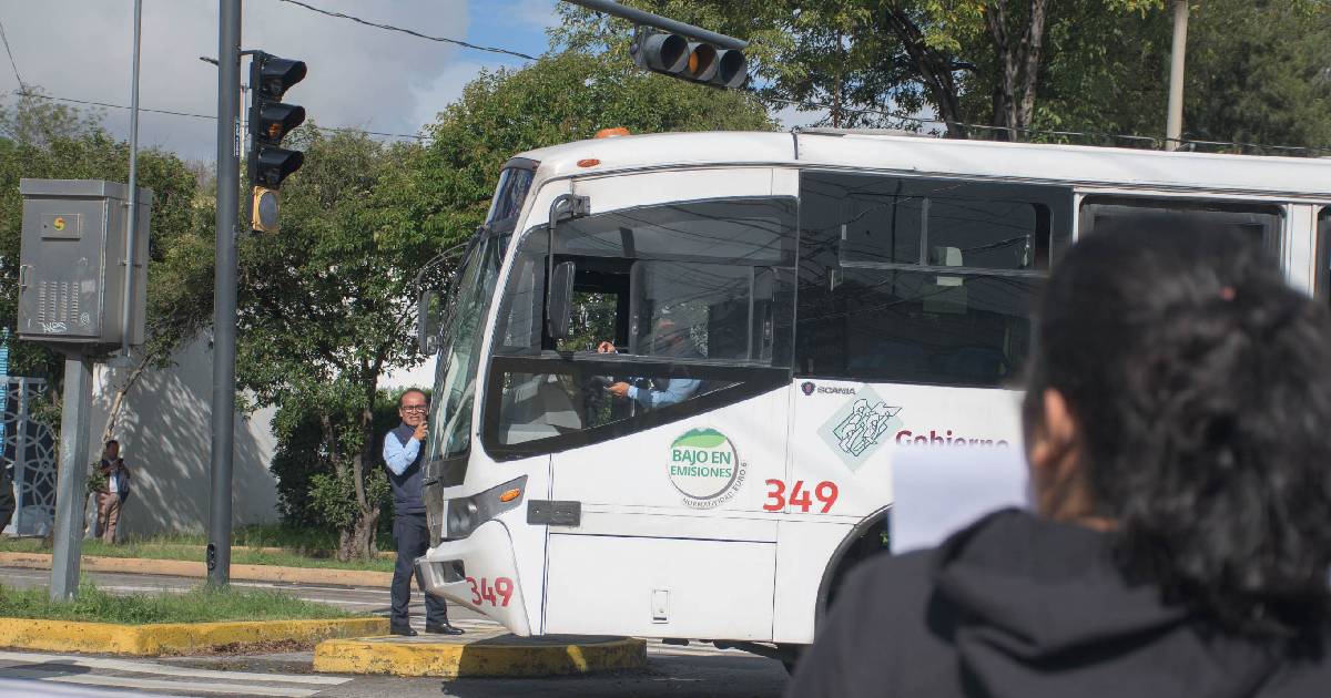 RUTA RUTA